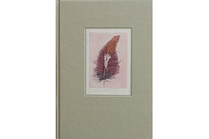 Zdena Krejčová - Slavík a růže